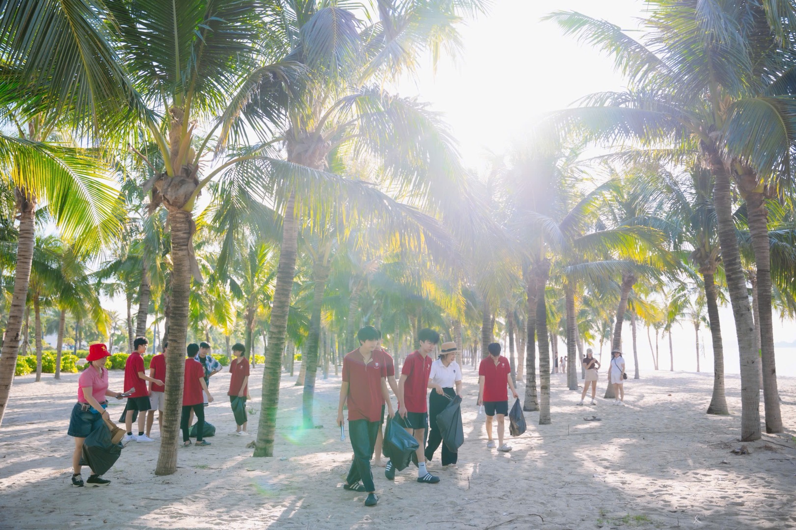 z7023792491445 9b1b351fde6faa55cae73f786f4a6ee6